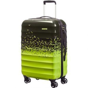 American Tourister by Samsonite Palm Valley